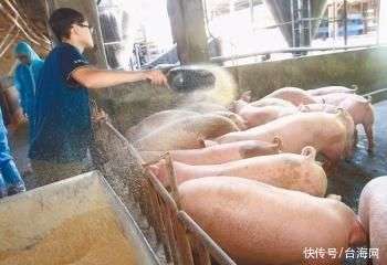 凯发娱乐场官网台媒：台“数位发展部”收到“炸弹威胁”信警方展开追查